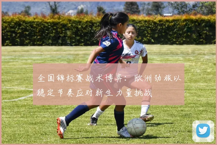 全国锦标赛战术博弈：欧洲劲旅以稳定节奏应对新生力量挑战